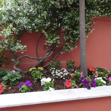 Villaroza *